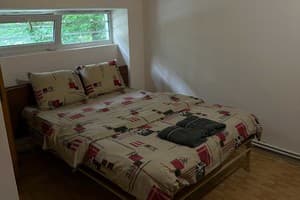 Стрелецкий 2